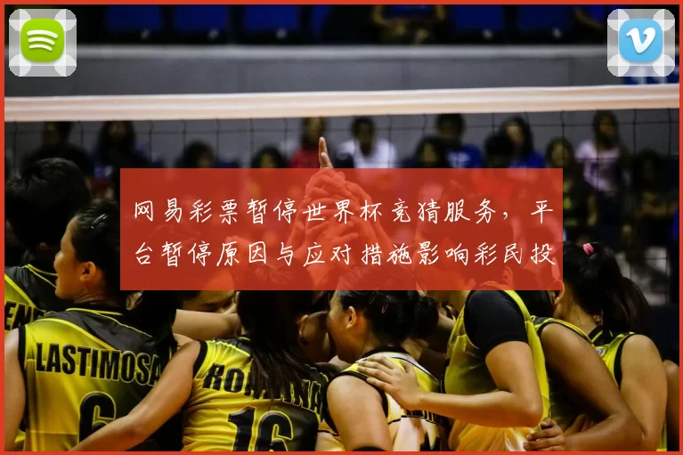 网易彩票暂停世界杯竞猜服务，平台暂停原因与应对措施影响彩民投注