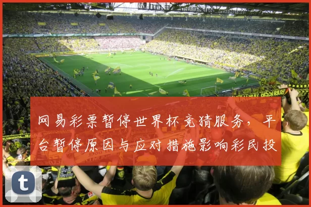 网易彩票暂停世界杯竞猜服务，平台暂停原因与应对措施影响彩民投注